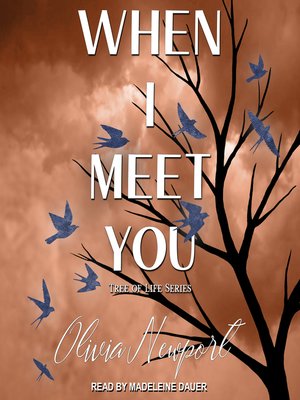 When I Meet You - Audiobook
